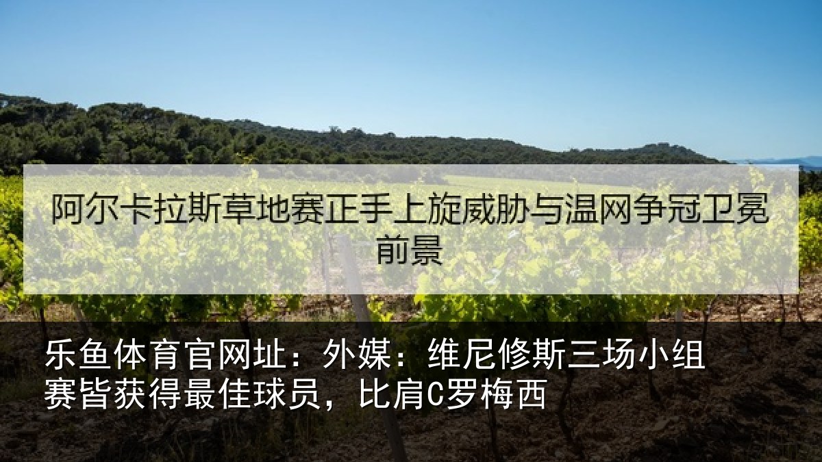 乐鱼体育官网址:外媒相关情况赛皆相关情况C罗梅西