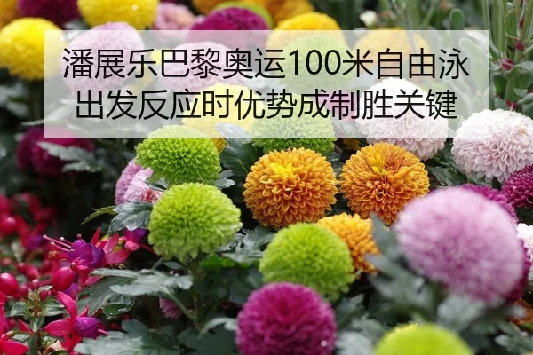 潘展乐巴黎奥运100米自由泳出发反应时优势成制胜关键