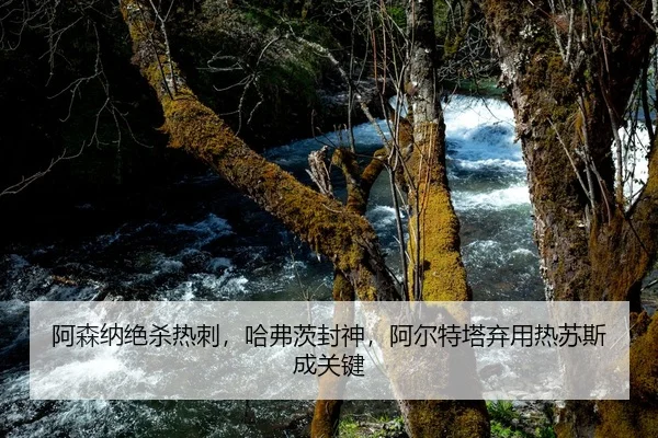 阿森纳绝杀热刺，哈弗茨封神，阿尔特塔弃用热苏斯成关键